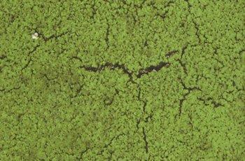 Construction de sol sportif Paris